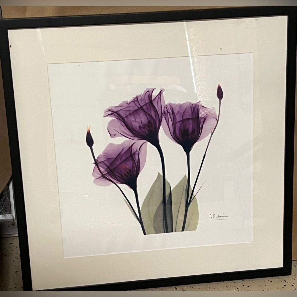 Botanical Framed Art
